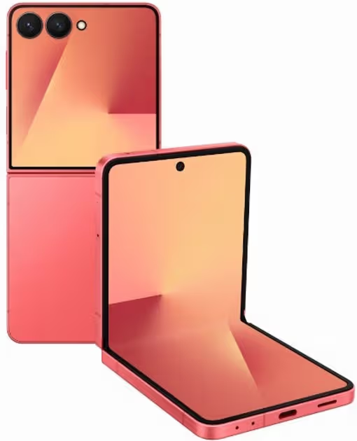  Z Flip 8